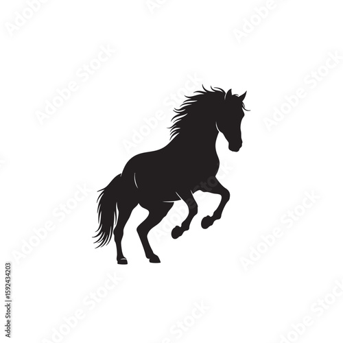 Silhouette of a magnificent rearing horse, symbolizing power and untamed spirit
