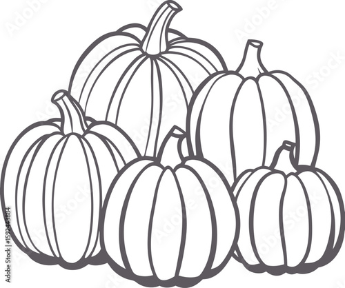 Group of Pumpkins Line Art Illustration