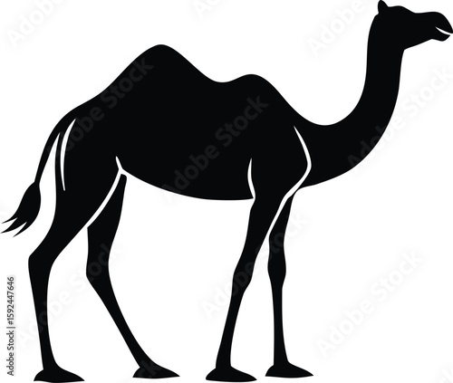 Lonely Camel in Vast Desert Silhouette ,Nomadic Minimal Art