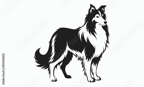 Collie dog silhouette, herding breed vector, domestic animal icon, Lassie dog silhouette vector illustration 