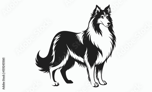 Collie dog silhouette, herding breed vector, domestic animal icon, Lassie dog silhouette vector illustration 