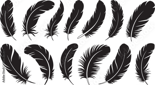 Collection of Black Feather Silhouettes Vector Set