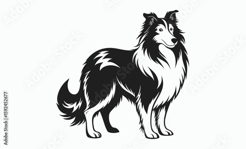 Collie dog silhouette, herding breed vector, domestic animal icon, Lassie dog silhouette vector illustration 