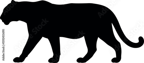 Black panther silhouette walking