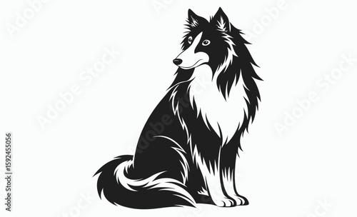 Collie dog silhouette, herding breed vector, domestic animal icon, Lassie dog silhouette vector illustration 