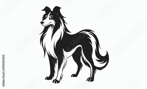 Collie dog silhouette, herding breed vector, domestic animal icon, Lassie dog silhouette vector illustration 
