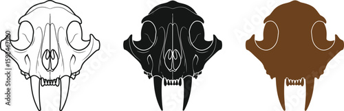 Three stylized saber-toothed cat skulls showcase a unique design, rendered in line art, solid black, and brown, perfect for graphic design or educational materials.