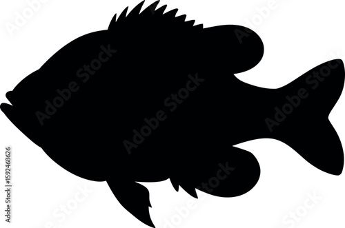 Tableau sur toile Black silhouette of a sunfish on white background