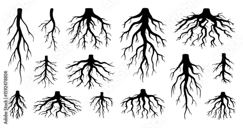 Collection of Black Tree Roots Silhouettes on White Background plant nature