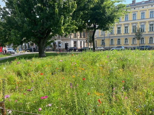 Photography Bratislava in summer