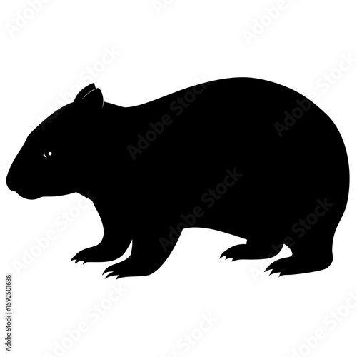 Silhouette of a Wombat