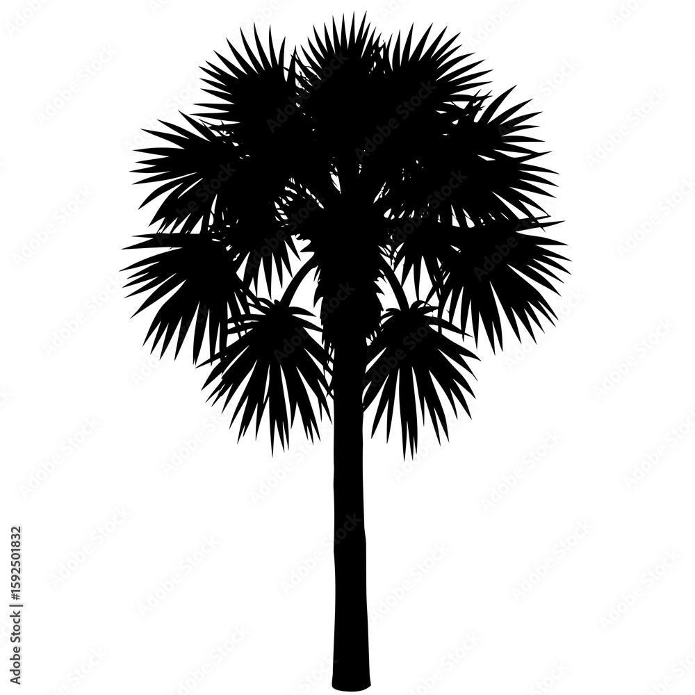 Obraz premium Palm Tree Silhouette Vector