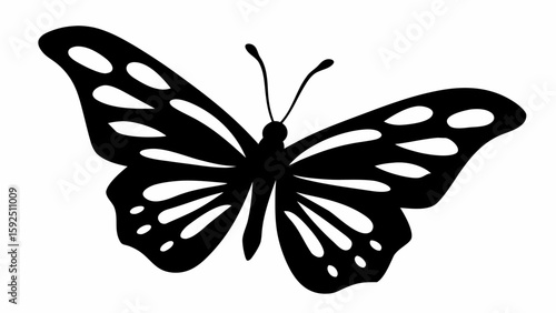 Silhouette of a butterfly with intricate wing patterns and antennae displayed against a white background