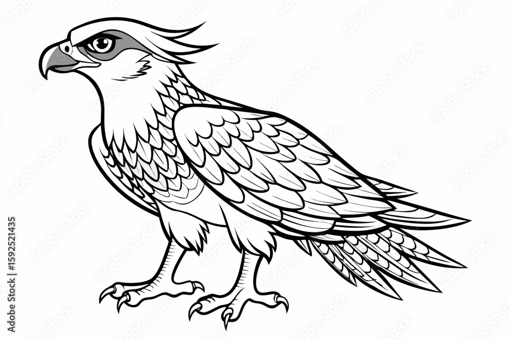Fototapeta premium coloring page line art the osprey black vector