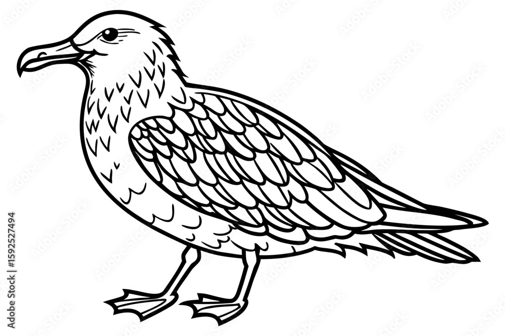 Obraz premium coloring page line art the skua black vector