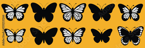 Black and white butterflies on orange background butterfly