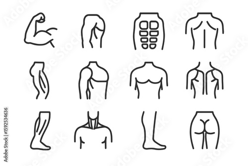 Set of minimalist body part icons on gray background