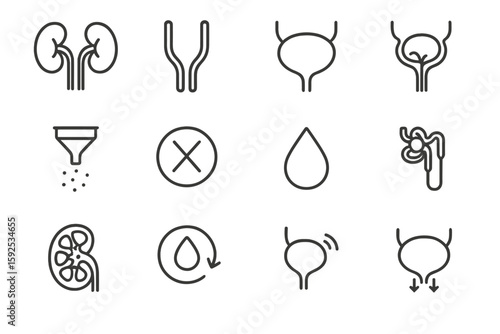 Urology icons set: bladder, kidney, ureter symbols on grayscale background