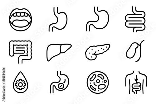 Digestive system icons set: mouth stomach intestine liver pancreas gallbladder