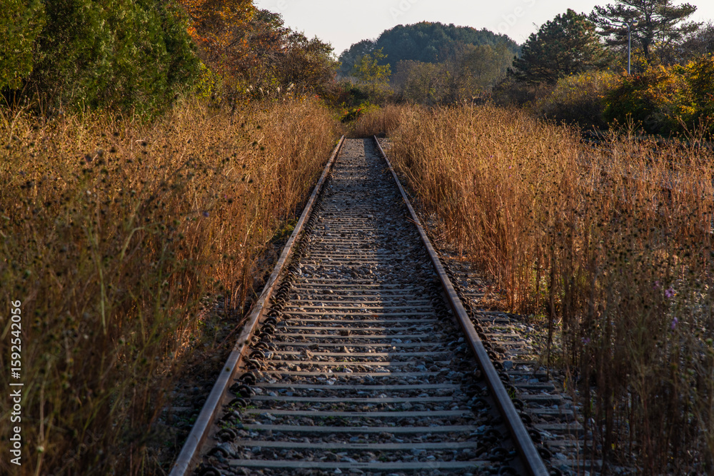 Fototapeta premium railroad at the old station
