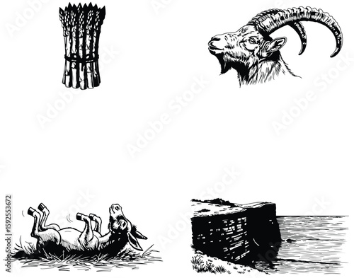 Vector art of a black and white illustration of asparagus, goat, donkey, and cliff