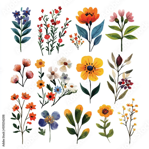 Wallpaper Mural Watercolor Floral Collection Diverse Botanical Illustrations with Varied Colors and Styles Torontodigital.ca