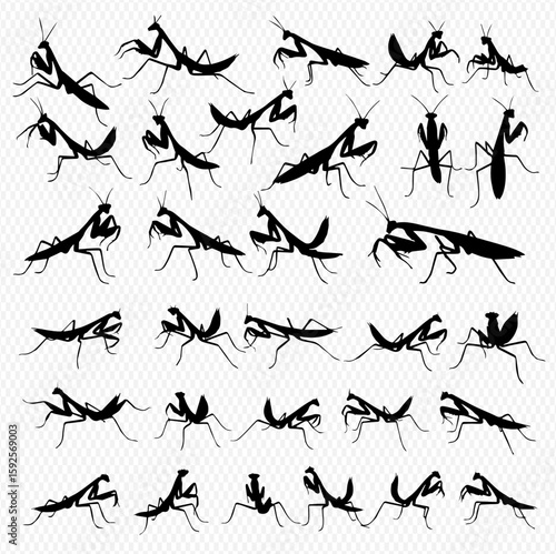 Silhouette illustration featuring a collection of praying mantis insects in various poses and orientations against a patterned background.