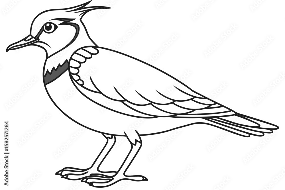 Fototapeta premium coloring page line art the lapwing black vector