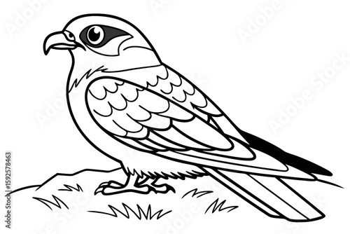coloring page line art the nightjar black vector