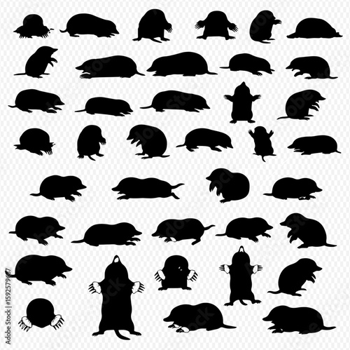 A collection of various mole silhouettes in different poses, including standing, crawling, and facing forward, arranged on a transparent background.