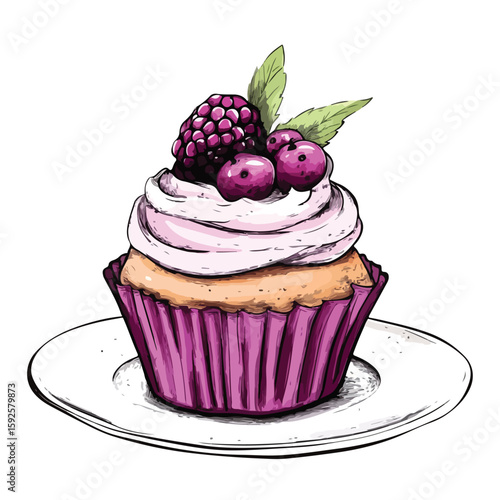 Delicious cake sketch with berry topping