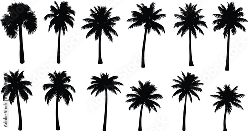 A tropical beach sunset with palm tree silhouettes, a perfect summer vacation illustration
