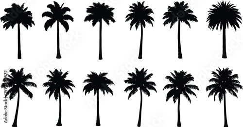 A tropical beach sunset with palm tree silhouettes, a perfect summer vacation illustration