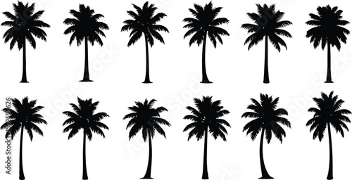 A tropical beach sunset with palm tree silhouettes, a perfect summer vacation illustration
