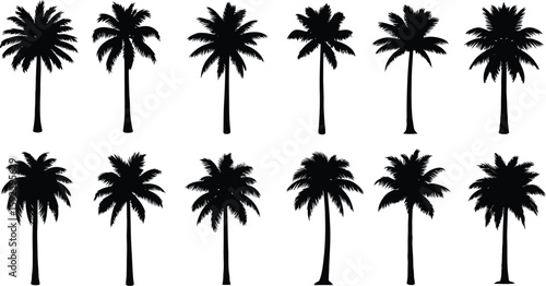 A tropical beach sunset with palm tree silhouettes, a perfect summer vacation illustration