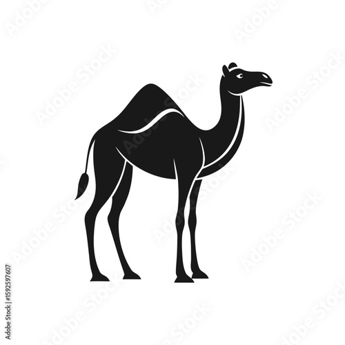 Graphic illustration of a dromedary camel in a stark clean design