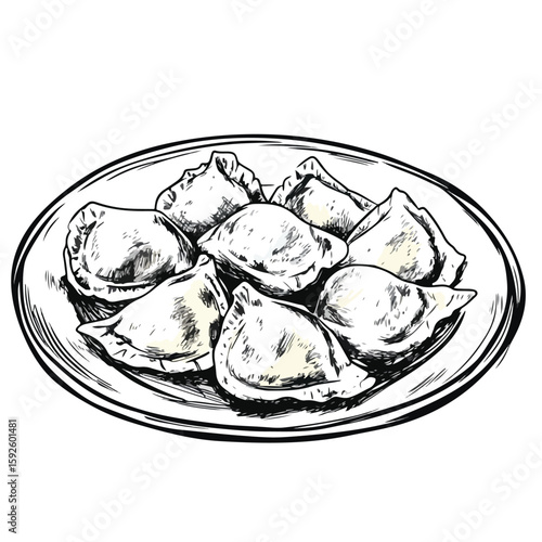 Detailed Hand-drawn German Maultaschen Dumplings Sketch