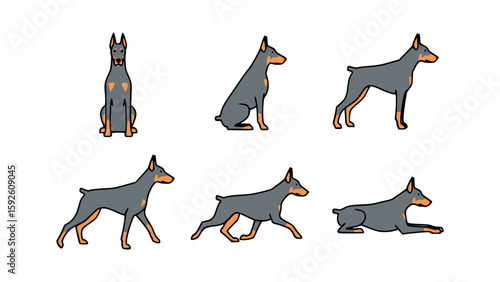 A Doberman Pinscher dog illustration in various poses. The image shows the dog from different angles, including front, side, and seated positions