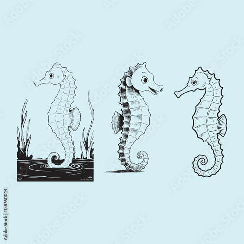sea horse vector illustration