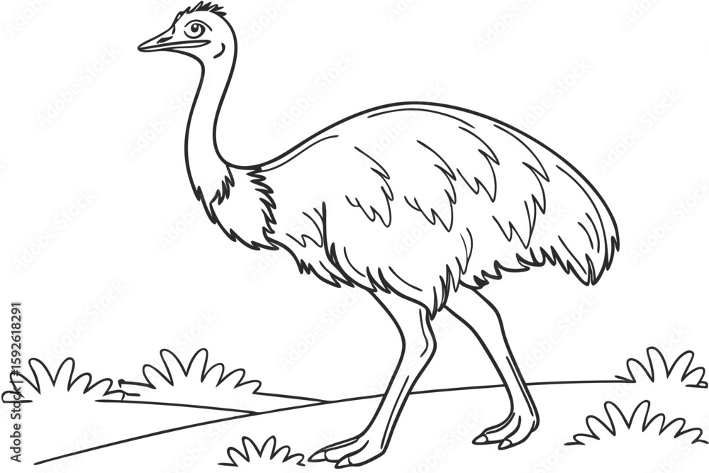 Fototapeta premium coloring page line art the emu bird black vector