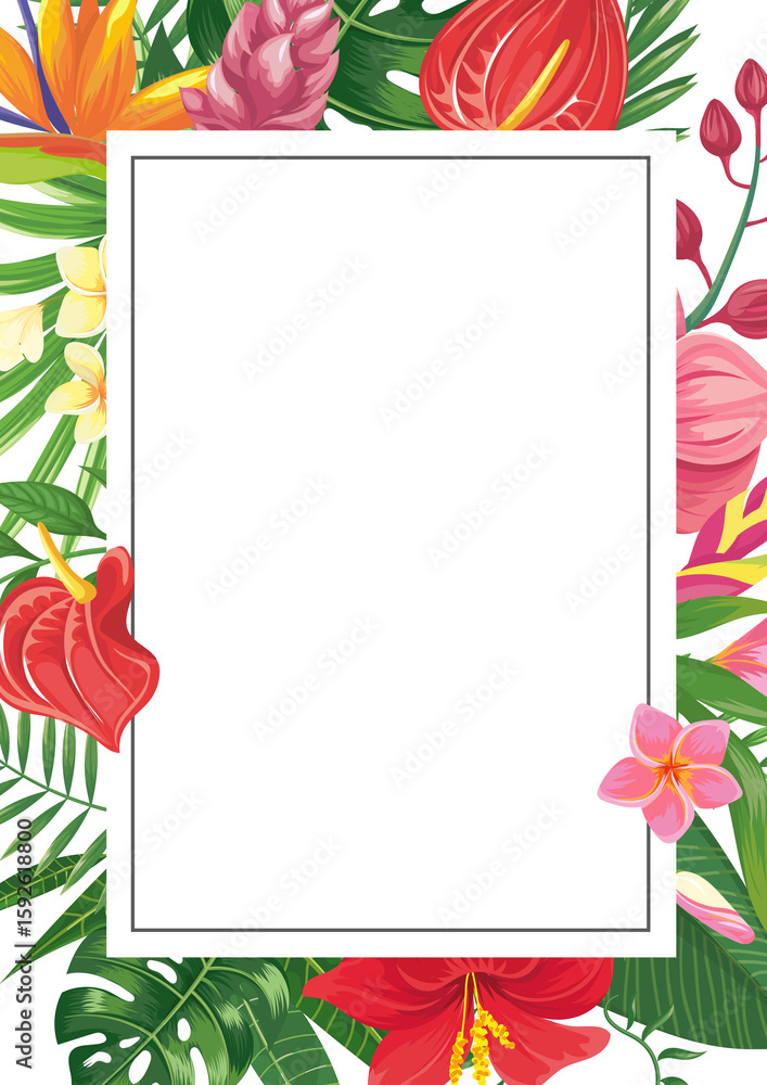 Obraz premium vector border png