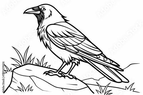 coloring page line art the thrush black vector