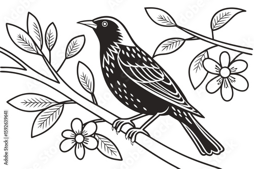 coloring page line art the thrush black vector