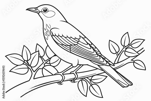 coloring page line art the thrush black vector