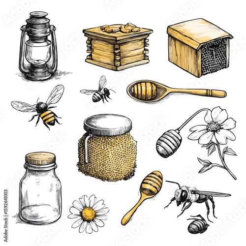 Vintage Beekeeping Tools Sketch Set