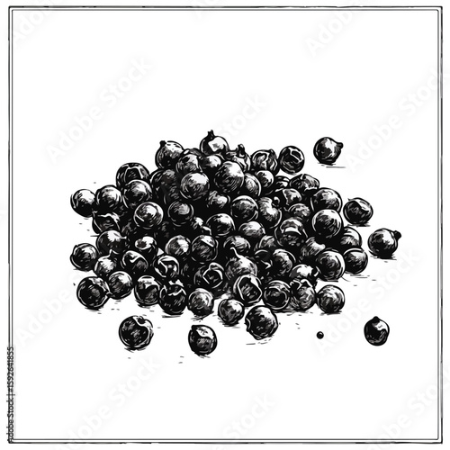 Black Pepper Powder Sketch on White