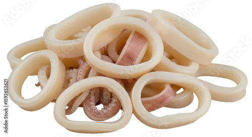 Bild auf Leinwand Isolated Squid Rings