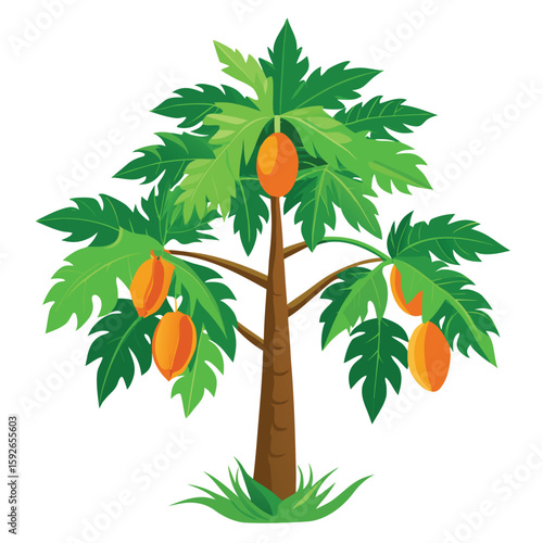 A lush tropical papaya tree with large green leaves and ripening orange fruits, bringing an exotic feel to any design.