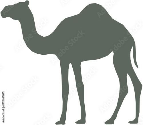 camel vector illustration