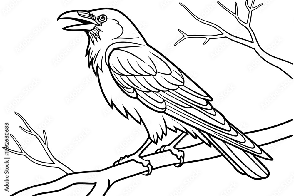Obraz premium coloring page line art the crow black vector
